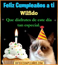 GIF Gato meme Feliz Cumpleaños Wilfido